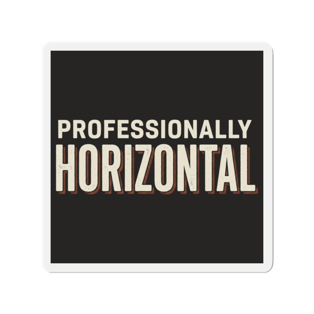 Professionally Horizontal Magnet