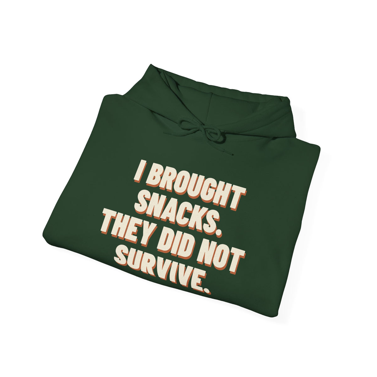 I Brought Snacks. They Did Not Survive. Hoodie