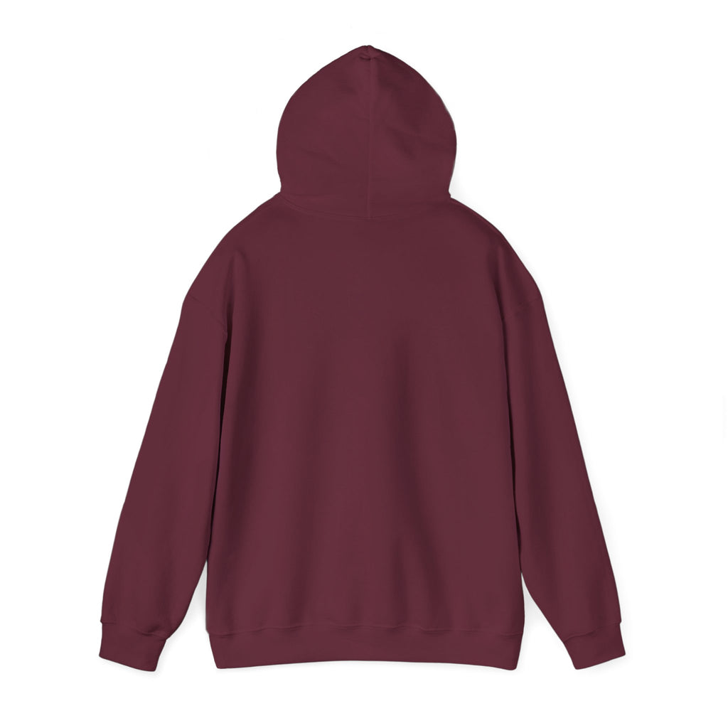 I Drove Here To Mute Hoodie
