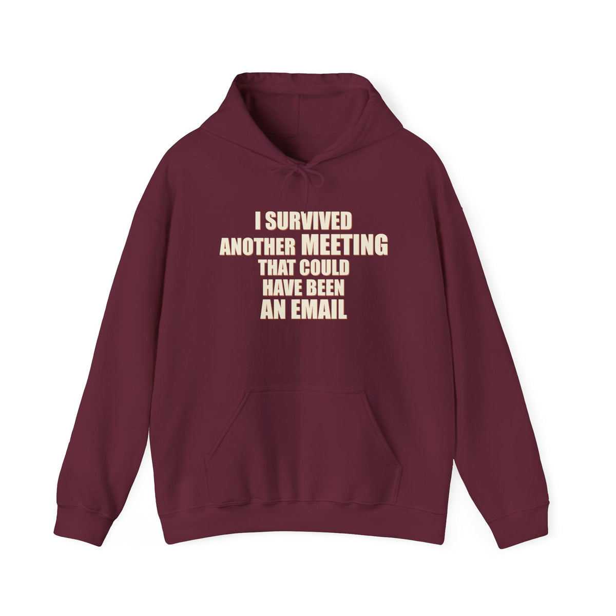 I Survived Another Meeting That Could Have Been An Email Hoodie