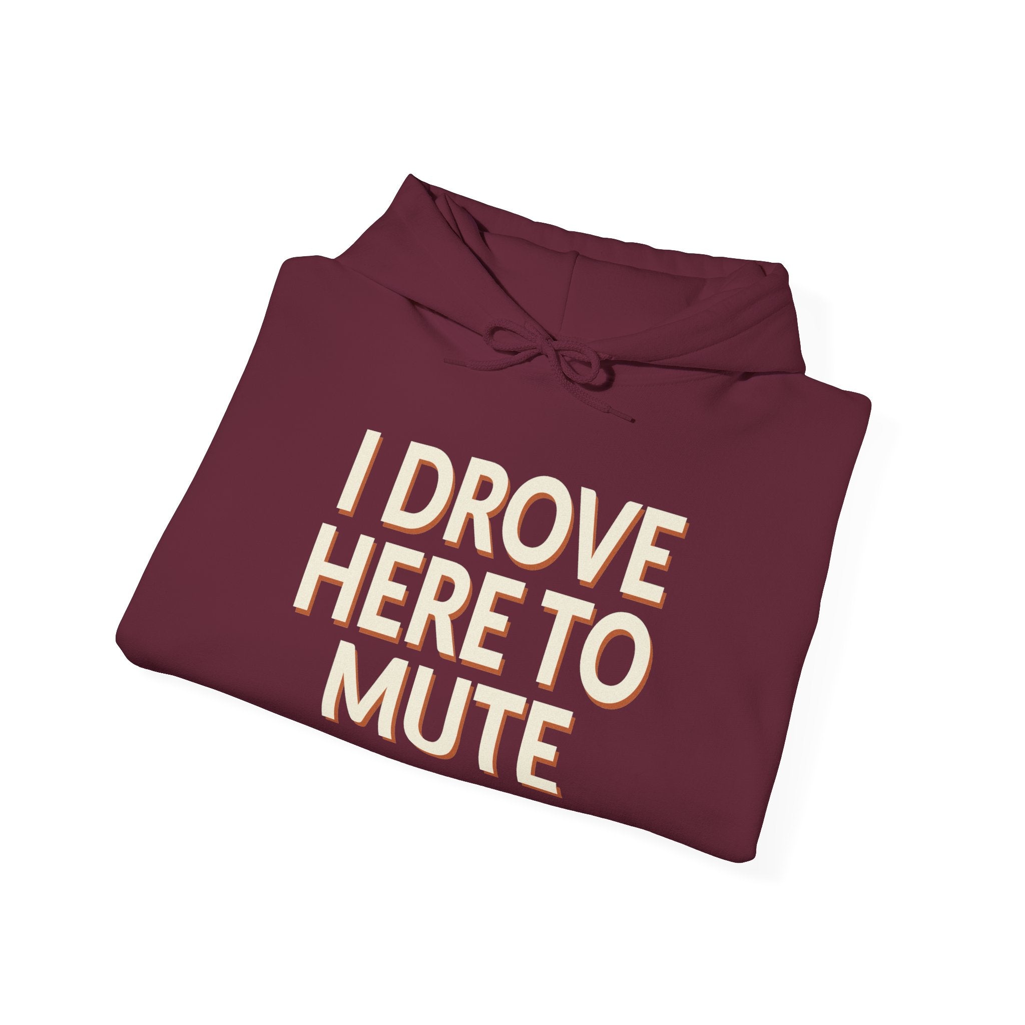 I Drove Here To Mute Hoodie
