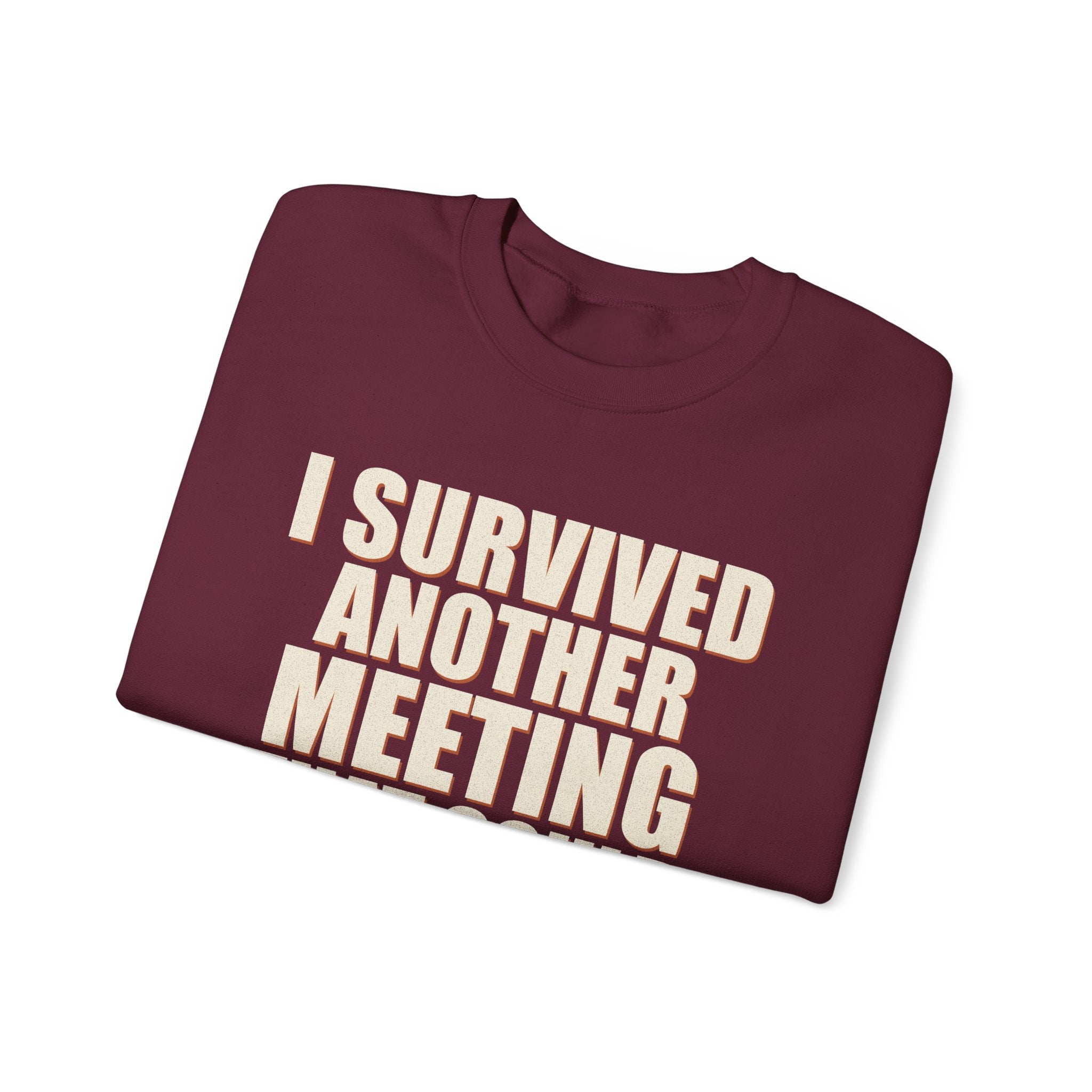 I Survived Another Meeting That Could Have Been An Email Sweatshirt