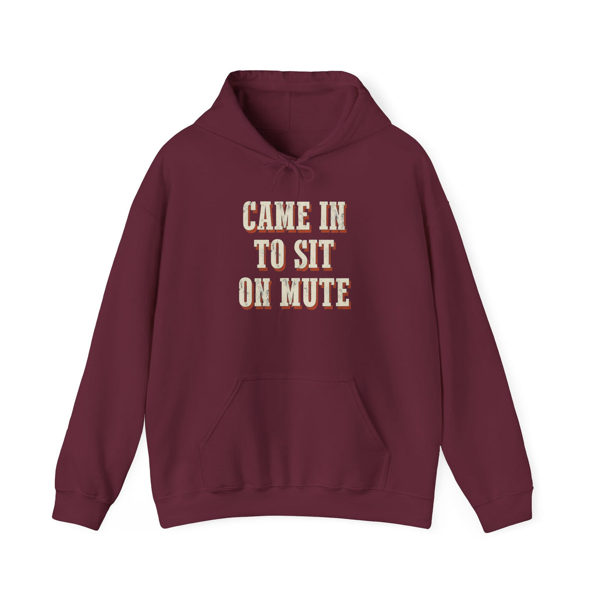Came In To Sit On Mute Hoodie