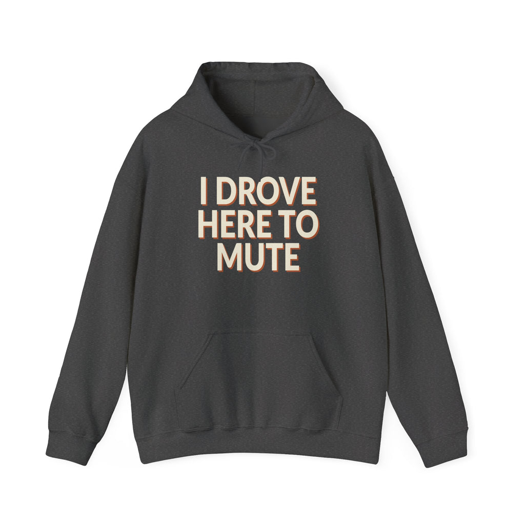 I Drove Here To Mute Hoodie