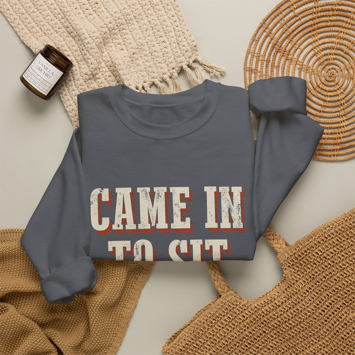 Came In To Sit On Mute Sweatshirt