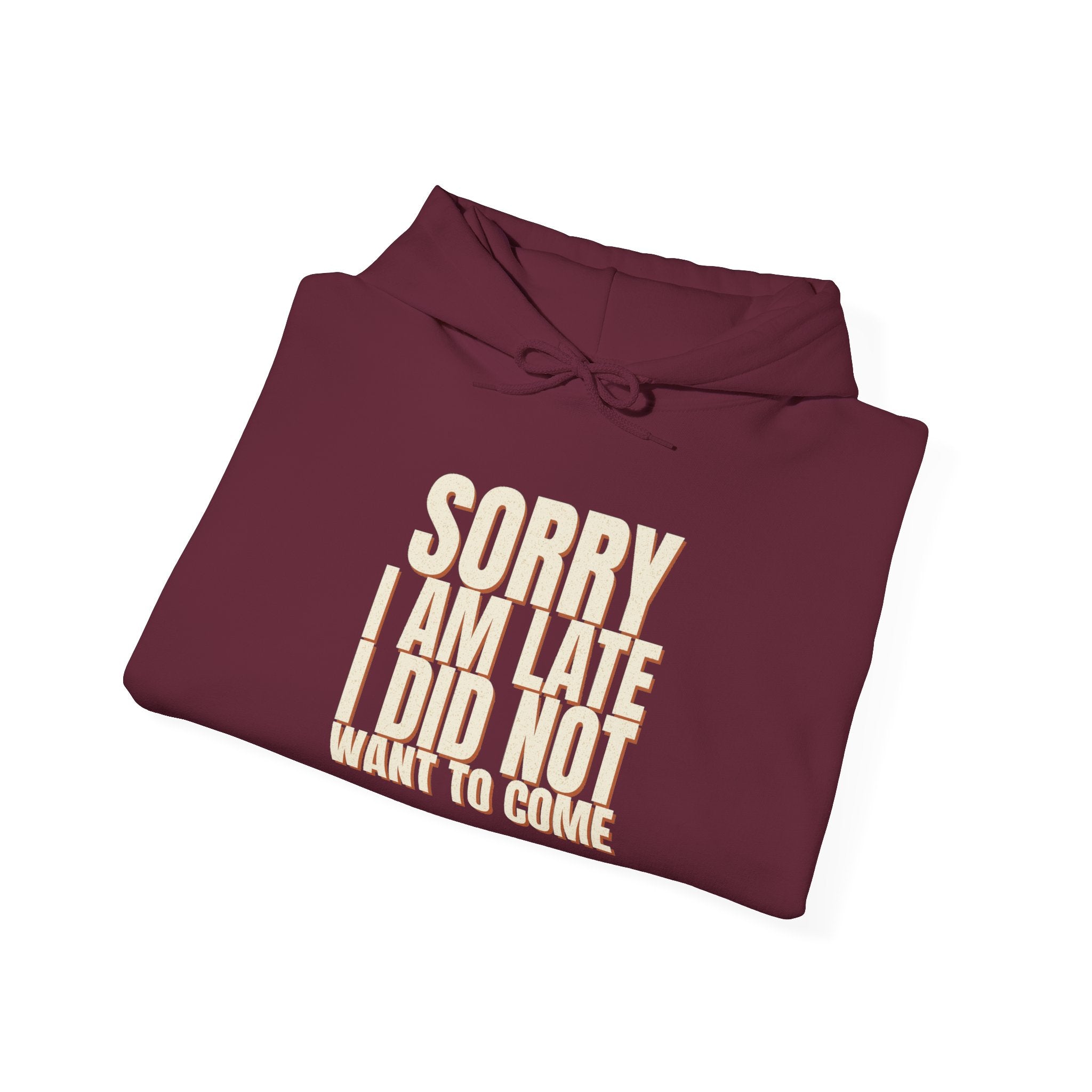 Sorry I Am Late I Did Not Want To Come Hoodie
