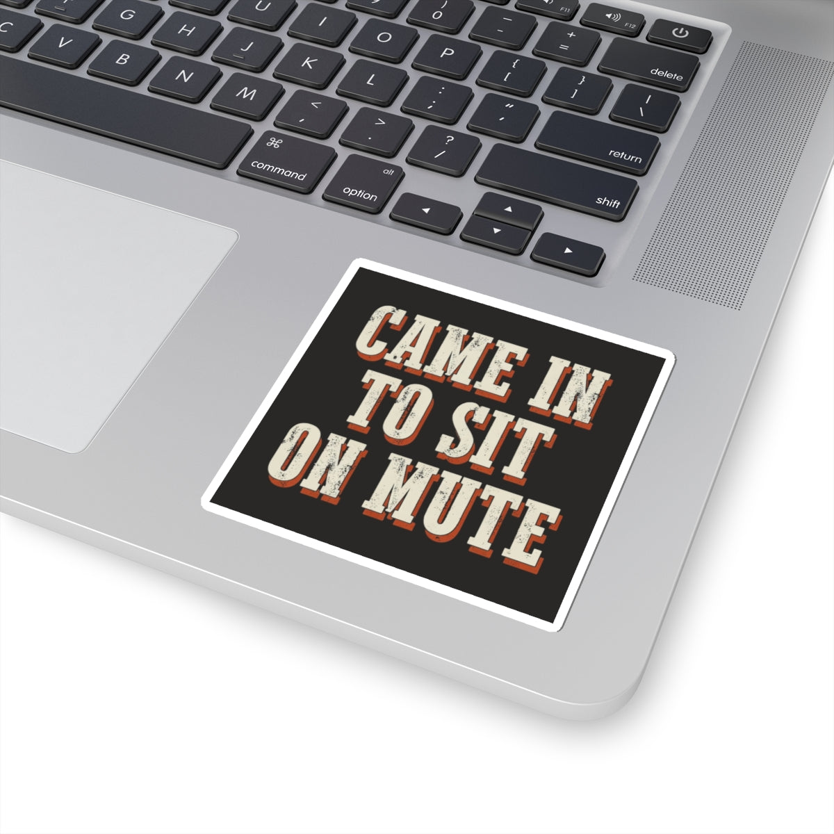 Came In To Sit On Mute Sticker