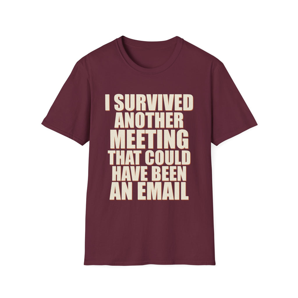 I Survived Another Meeting That Could Have Been An Email T-Shirt
