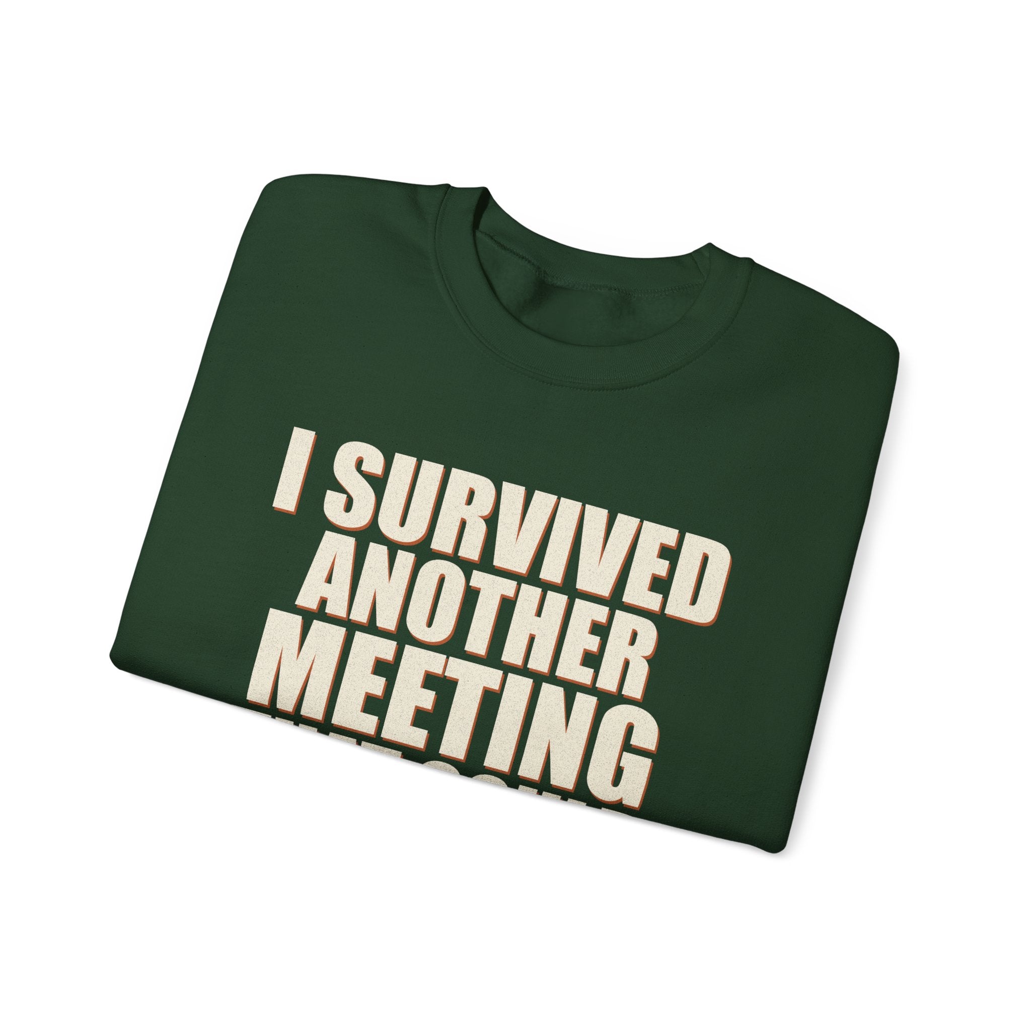 I Survived Another Meeting That Could Have Been An Email Sweatshirt