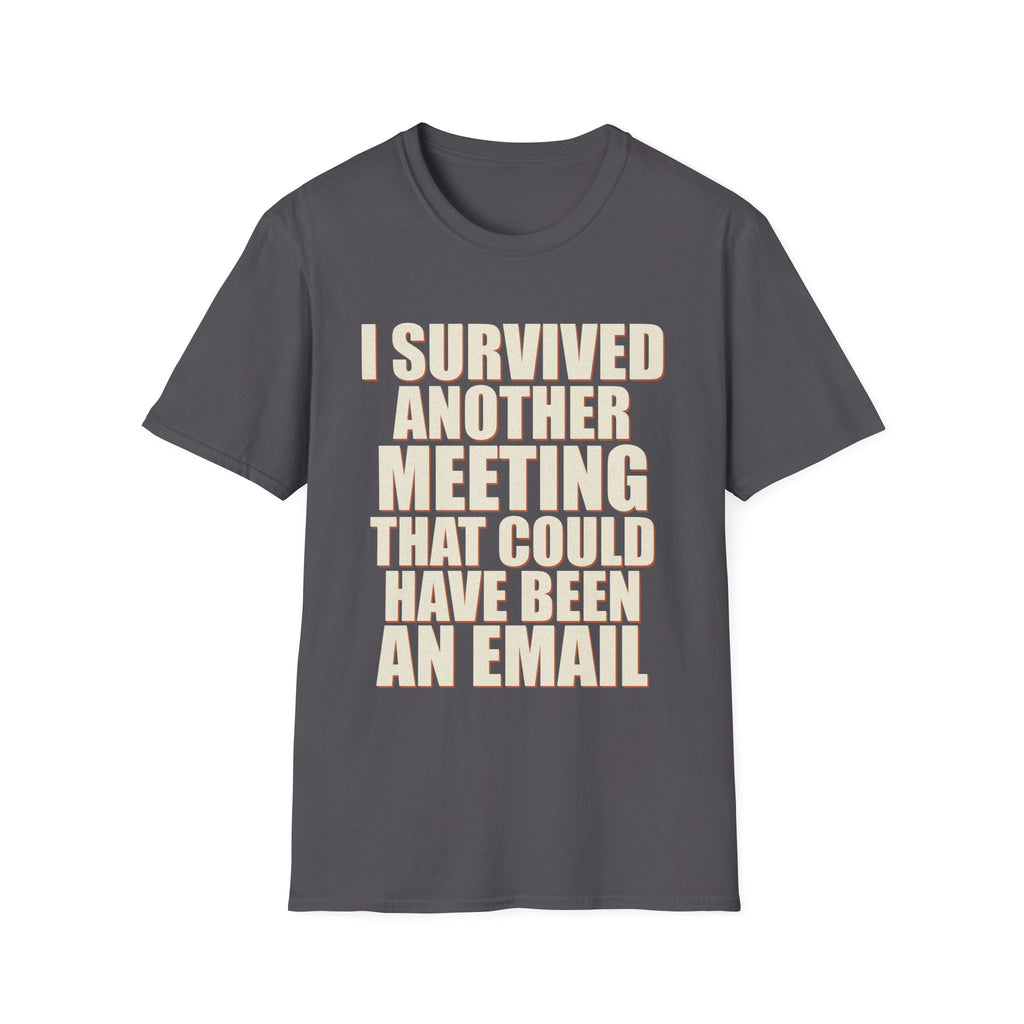 I Survived Another Meeting That Could Have Been An Email T-Shirt