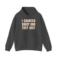I Counted Sheep And They Quit Hoodie