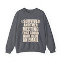 I Survived Another Meeting That Could Have Been An Email Sweatshirt