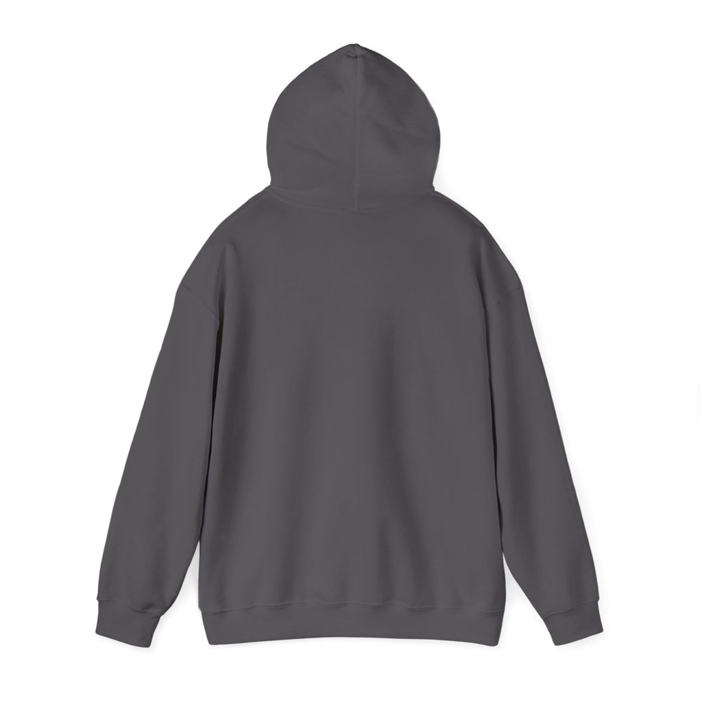 Professionally Organzied Hoodie