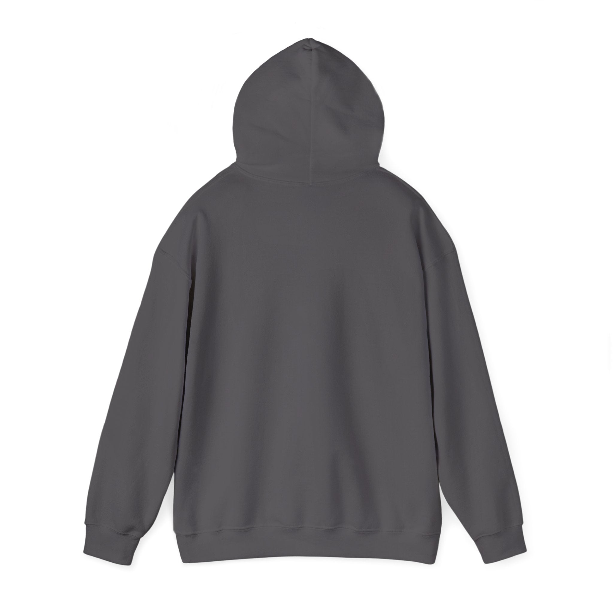 Professionally Organzied Hoodie