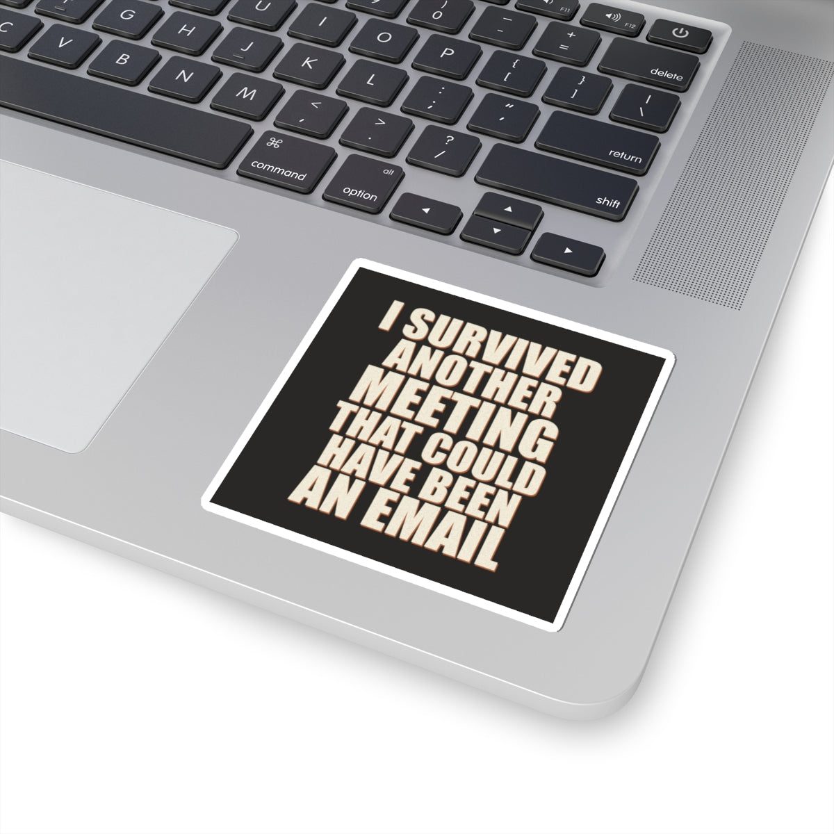 I Survived Another Meeting That Could Have Been An Email Sticker