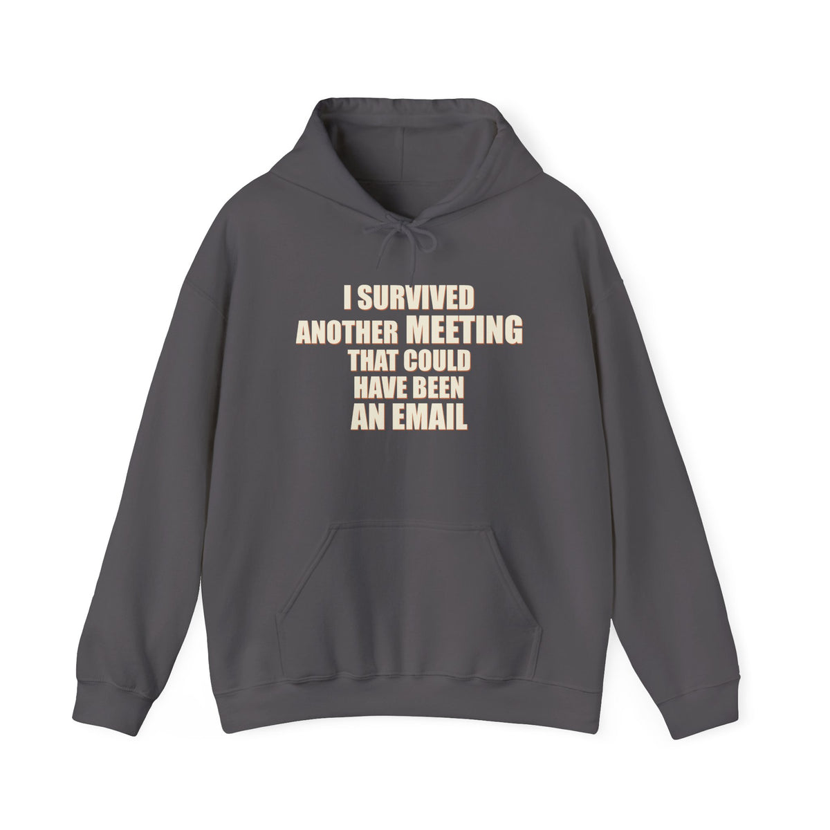 I Survived Another Meeting That Could Have Been An Email Hoodie