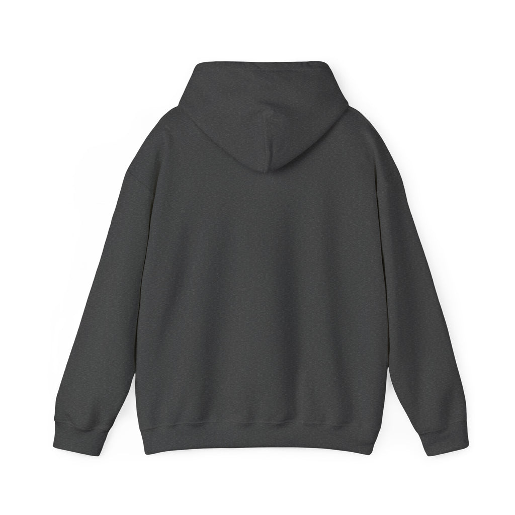 I Drove Here To Mute Hoodie
