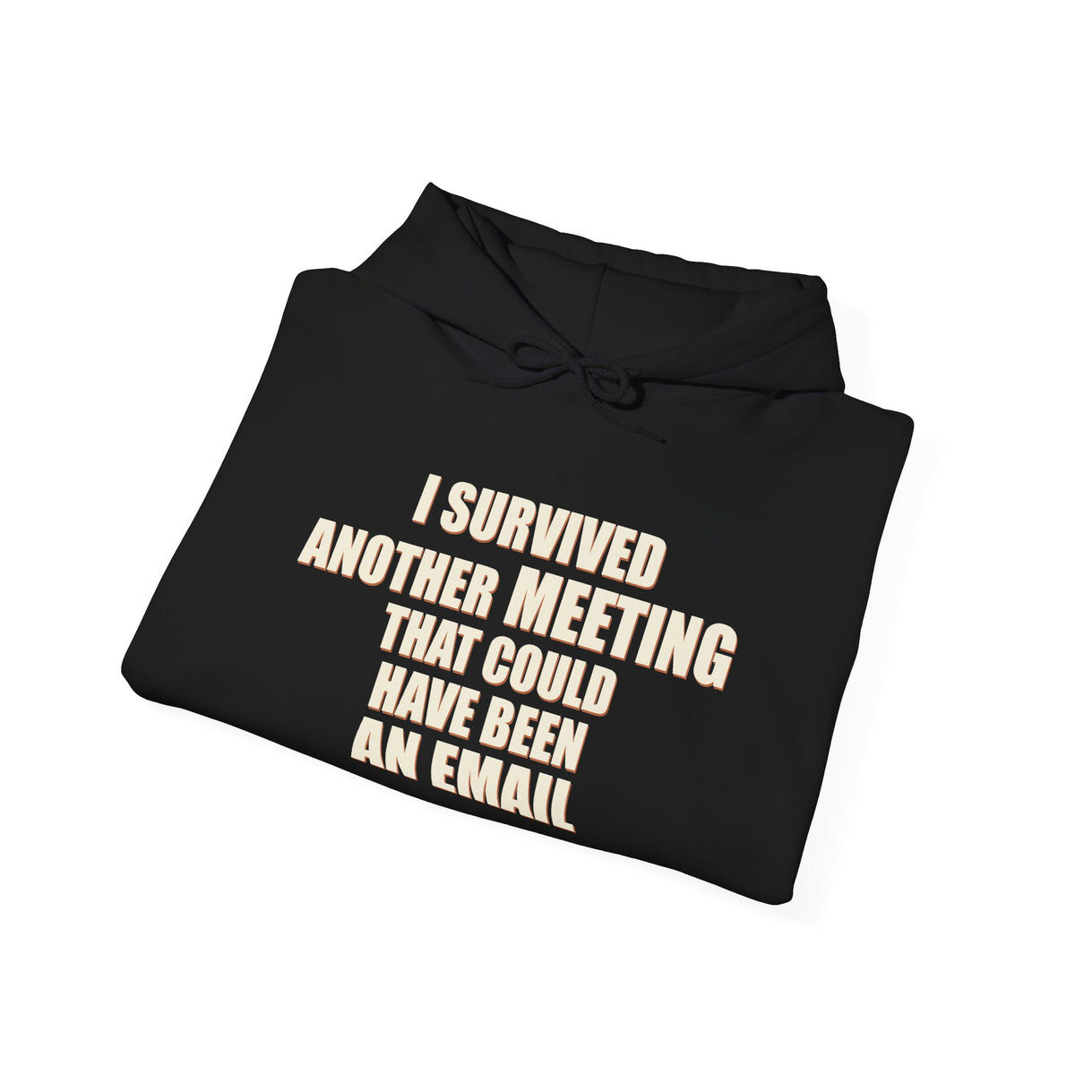 I Survived Another Meeting That Could Have Been An Email Hoodie