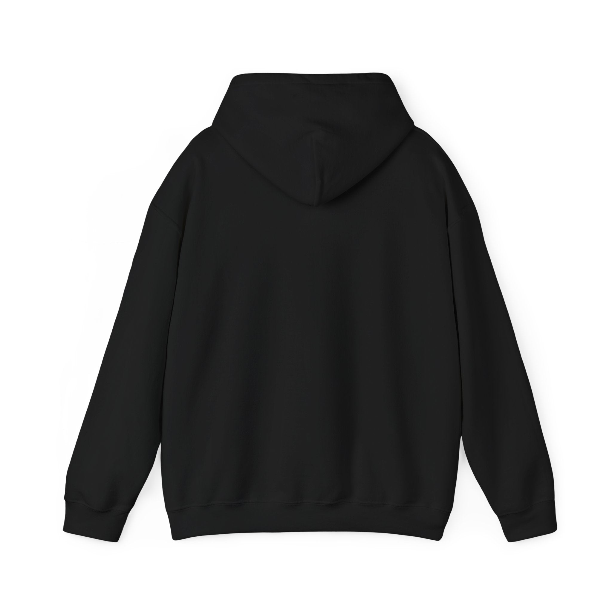 Professionally Organzied Hoodie
