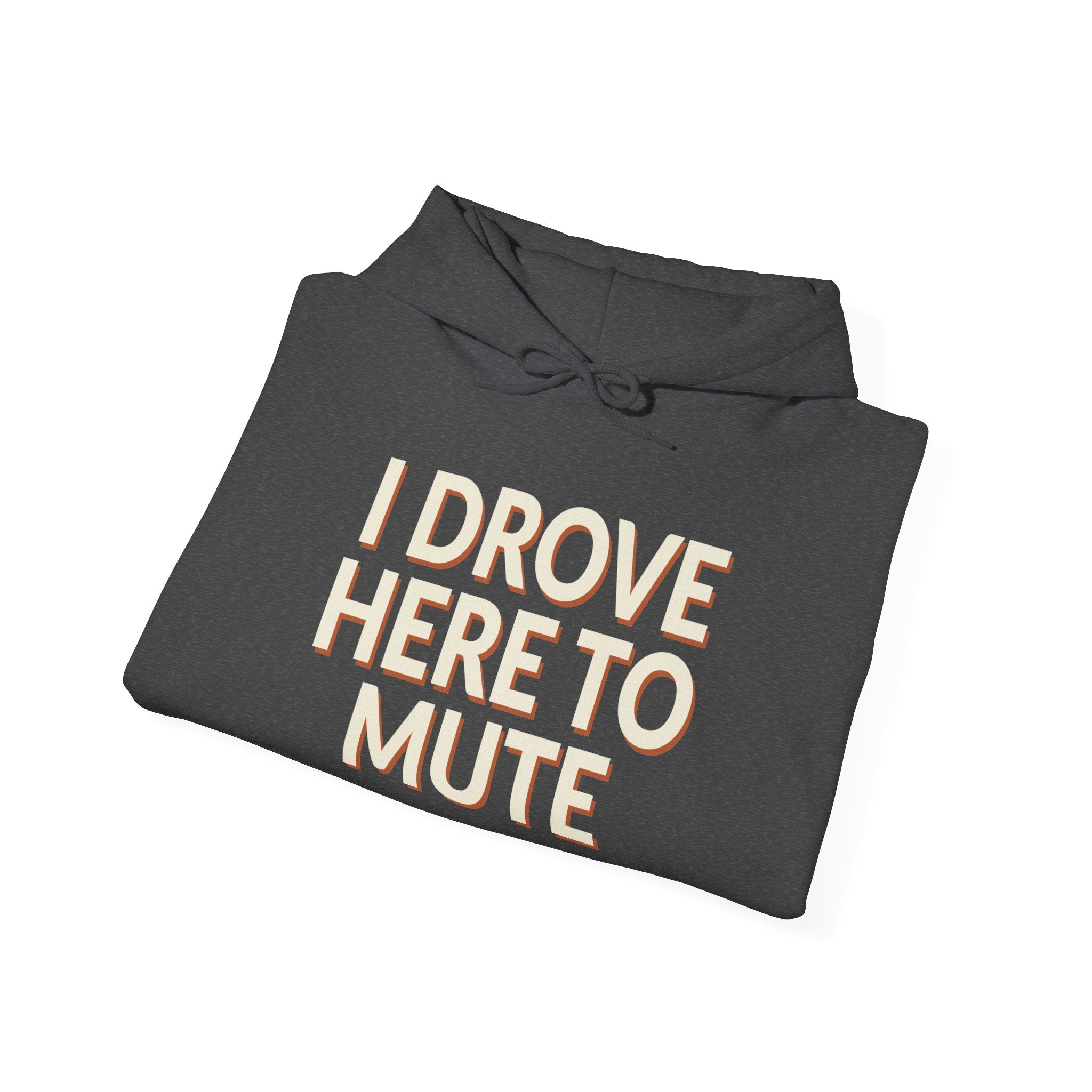 I Drove Here To Mute Hoodie