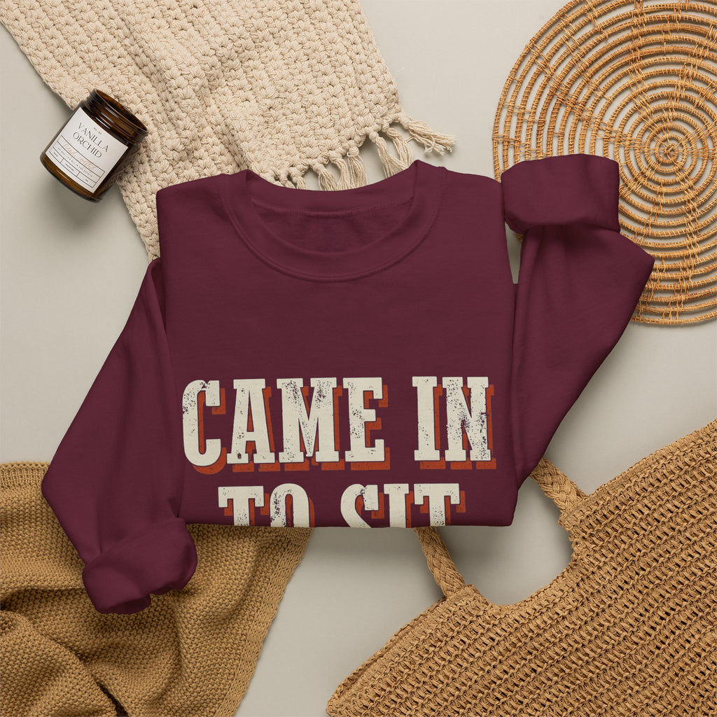 Came In To Sit On Mute Sweatshirt
