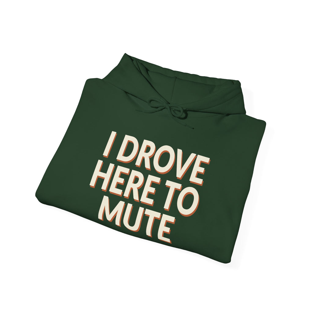 I Drove Here To Mute Hoodie