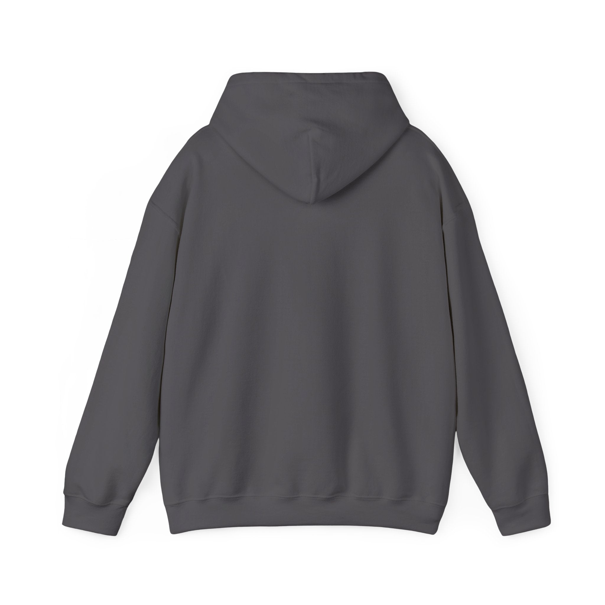 I Drove Here To Mute Hoodie