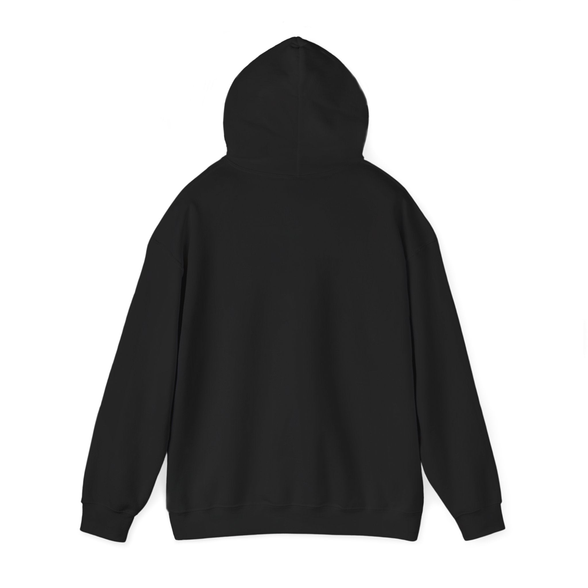 Professionally Horizontal Hoodie