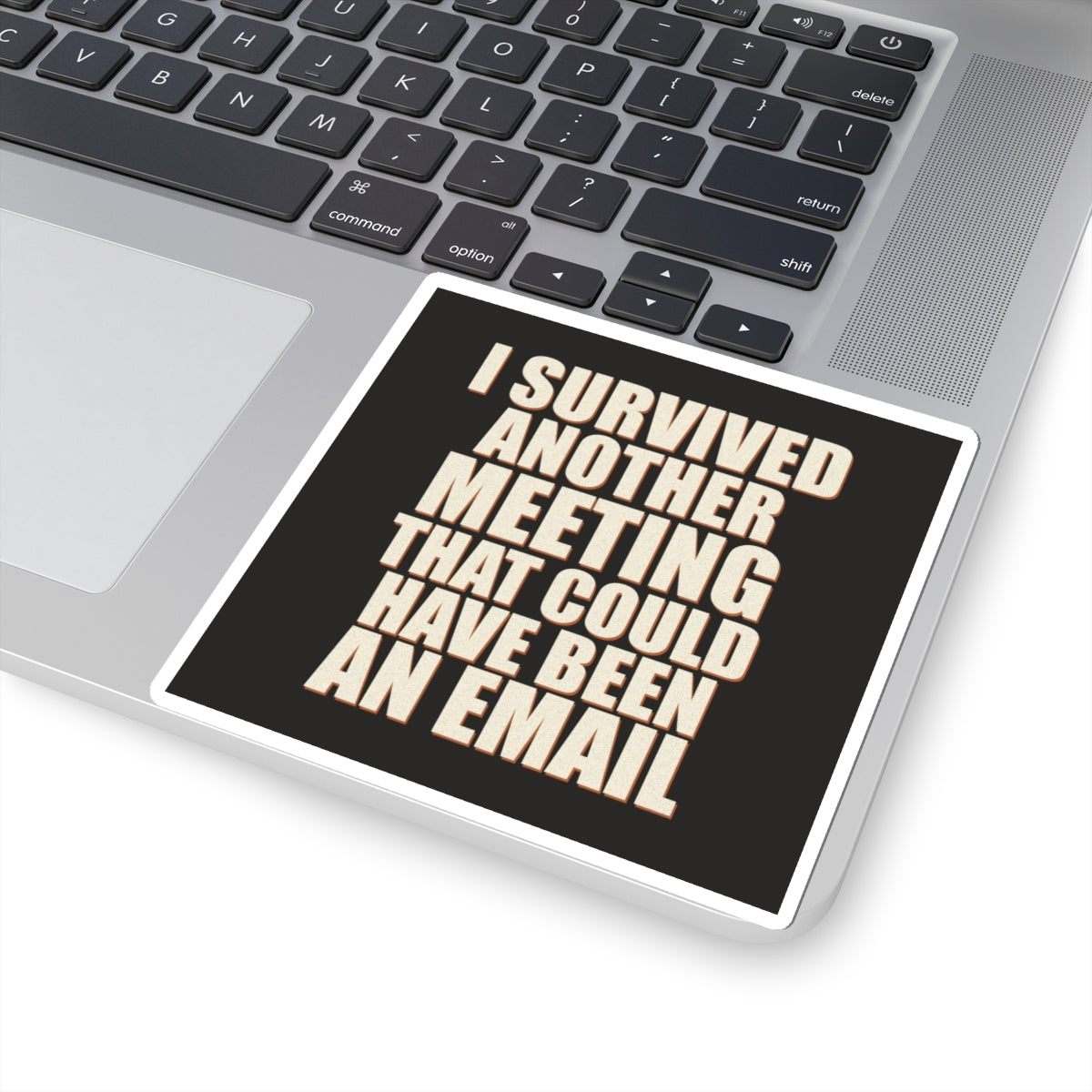 I Survived Another Meeting That Could Have Been An Email Sticker