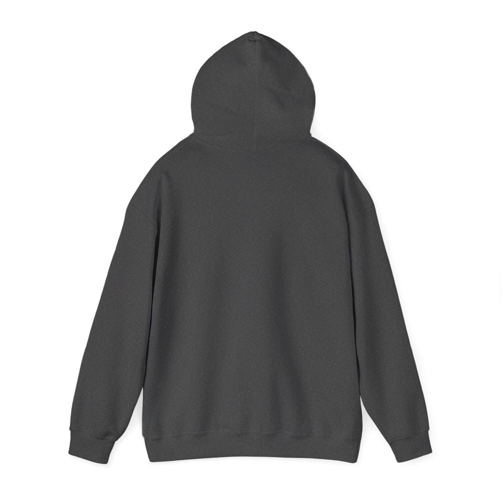 I Drove Here To Mute Hoodie