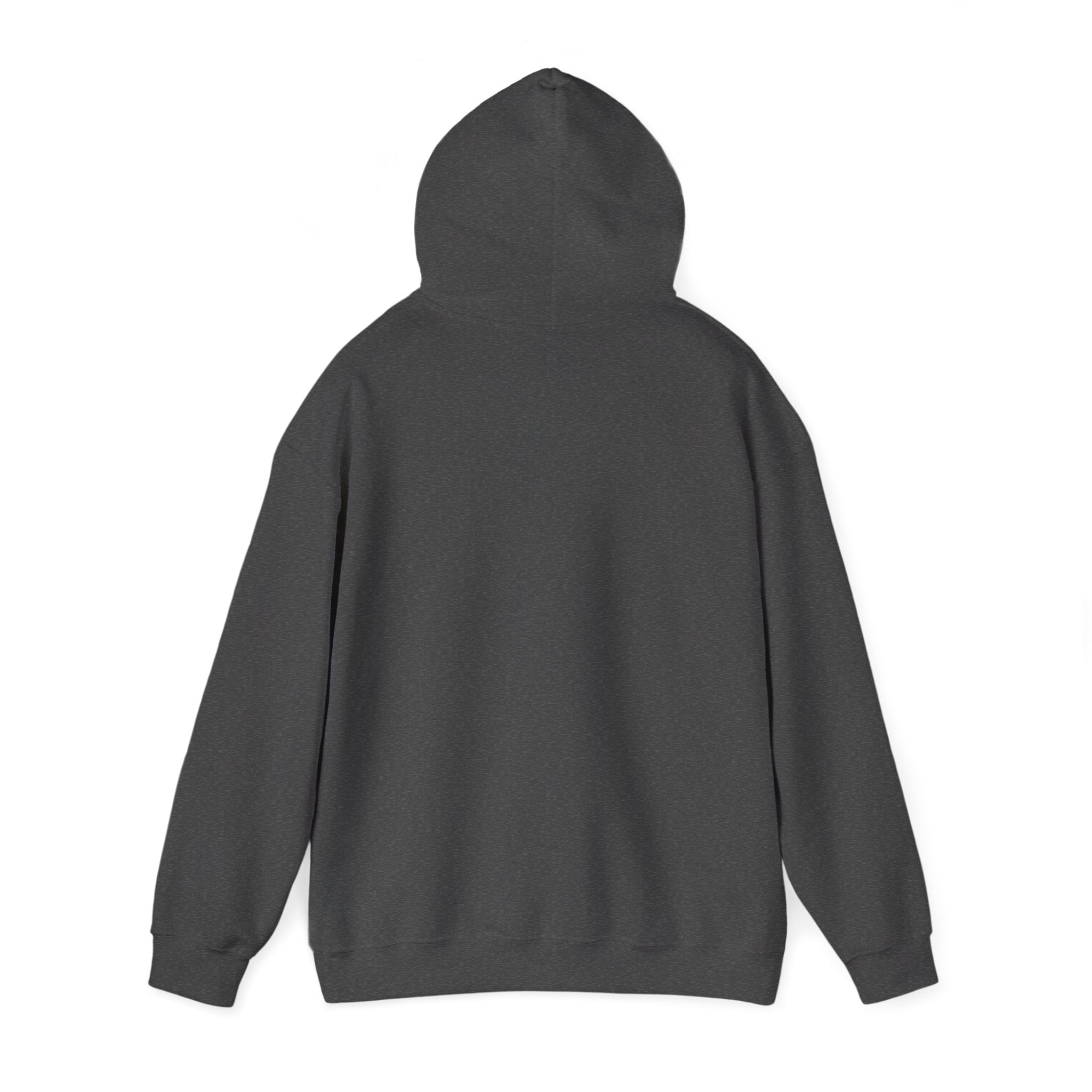I Drove Here To Mute Hoodie